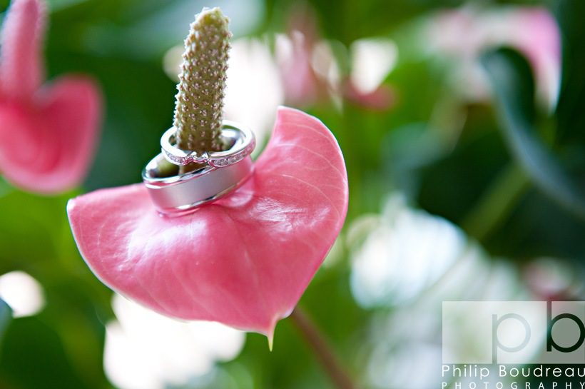 Janelle&Alain-blog-14 Janelle&Alain-blog-14