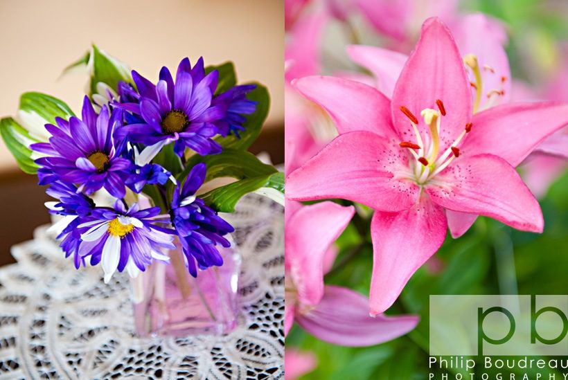 Janelle&Alain-blog-16 Janelle&Alain-blog-16