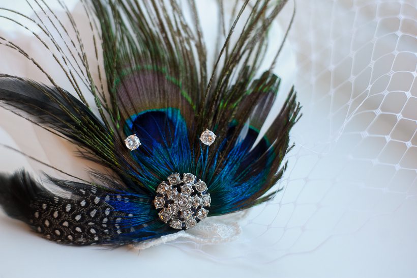 Peacock Birdcage veil