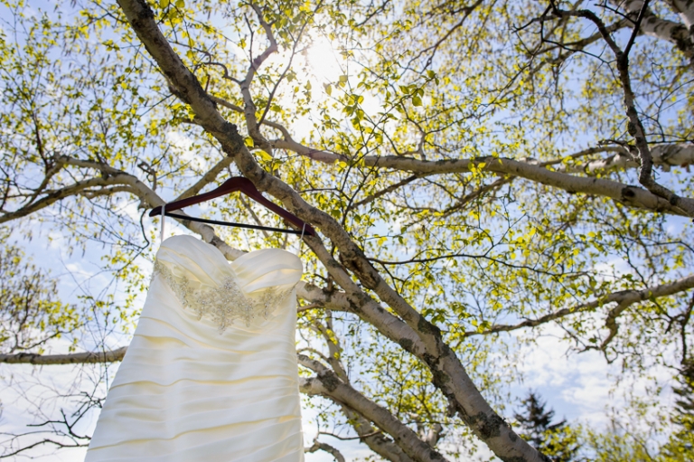 Wedding dress in tree