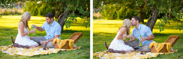 Picnic engagement session