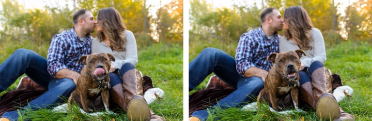 Dog engagement session