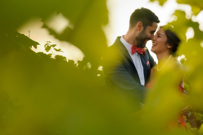 bride and groom in the vines