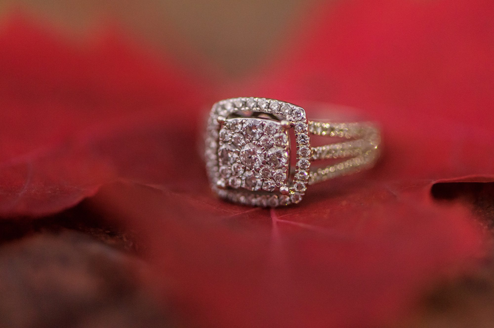 Engagement ring on leaf
