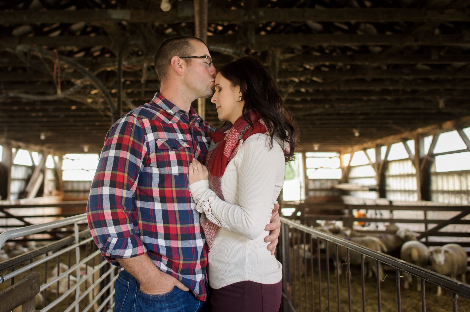 Couple kissing in a sheep barn